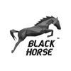 Black Horse Web Studio