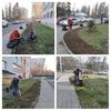 Услуги садовника. Уход за Вашим садом и огородом