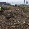 Прибирання, вивiз,подрiбнення гiлля