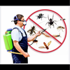 Удаление всех видов насекомых с лицензией.