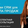 Внедрение amoCRM.