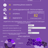 Инфорграфика любой сложности