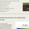 Презентації з навчальних дисциплін