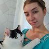 Уход за котами на время отсутствия