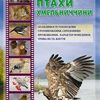 Дизайн и верстка полиграфической продукции
