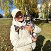 Передержка собак мелких пород 