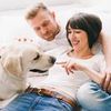 Сделаю для вас красивый видеоролик Love Story