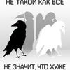 Создание афиш, листовок, флаеров 
