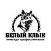 Дрессировка собак. Гостиница.