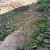 ландшафтний дизайн 