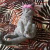 Передержка котов