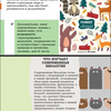 Power Point Презентации разной сложности. Быстро та креативно!