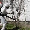 Обробка відкритих територій (дворів, садів, ділянок)