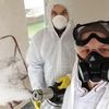 Салон авто і квартира як нові: видалення запахів Сухим туманом