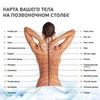 Общий массаж "Остеоритмика"