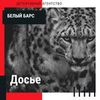 Досье