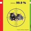 Знищення щурів в Києві та Київській області. Dr.Hasp