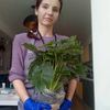 Догляд та консультації з догляду за кімнатними рослинами 