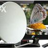 Ремонт LED,LCD Телевизоров,Мониторов,СВЧ Печей,Цифровых DVB-S2,DVB-T2,DVB-C Тюнеров