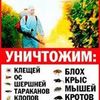 Уничтожение вредных насекомых.