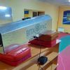 Дератизация. Вывод крыс, мышей и других грызунов в помещениях