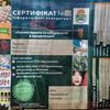 Влажные виски пеленания косметикой Styx