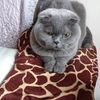 Передержка в домашних условиях 