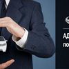 Адвокат. Уголовные дела. Адвокат по ДТП. 