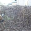 Работы по саду и огороду, быстро и качественно