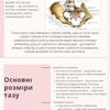 Создание и оформление презентации