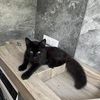 підтримуюче прибирання