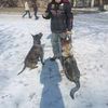  Дрессировка собак