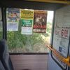 Транспортная реклама в Харькове и других регионах Украины. Брендирование авто. 