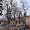 Спил деревьев