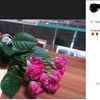 Доставка  подарков, цветов, сюрпризов 