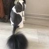 Стрижка котов