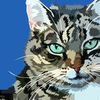 Присмотрю за Вашим котиком