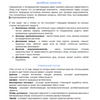 Создание контента сайтов (различная тематика)	