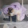 Професійне консультування онлайн або на виїзд