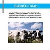 Бизнес-план для Инвестора