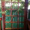 Садовые решётки для плетущихся растений