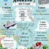 Плакат достижений, именной, метрика