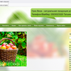 Создание сайтов, интернет магазинов. WordPress, Open Cart, Jumla