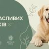 Дизайн банерів та креативів для соцмереж