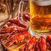 Фотография еды для меню ресторанов и кафе