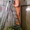 Электромонтаж квартир и домов.  Охранная пожарная сигнализация. видеонаблюдение. домофония.