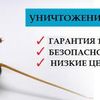 Уничтожение тараканов Днепр