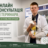 Допомога 24/7 в будь-яких ситуаціях 