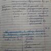 Быстро и разборчиво напишу конспект!