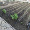 Убираем траву уход за огородом и т.д.